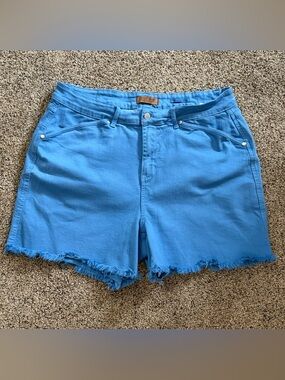Judy Blue Bright Blue Frayed Hem Denim Shorts
